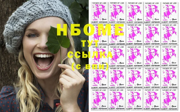 бошки Алексин